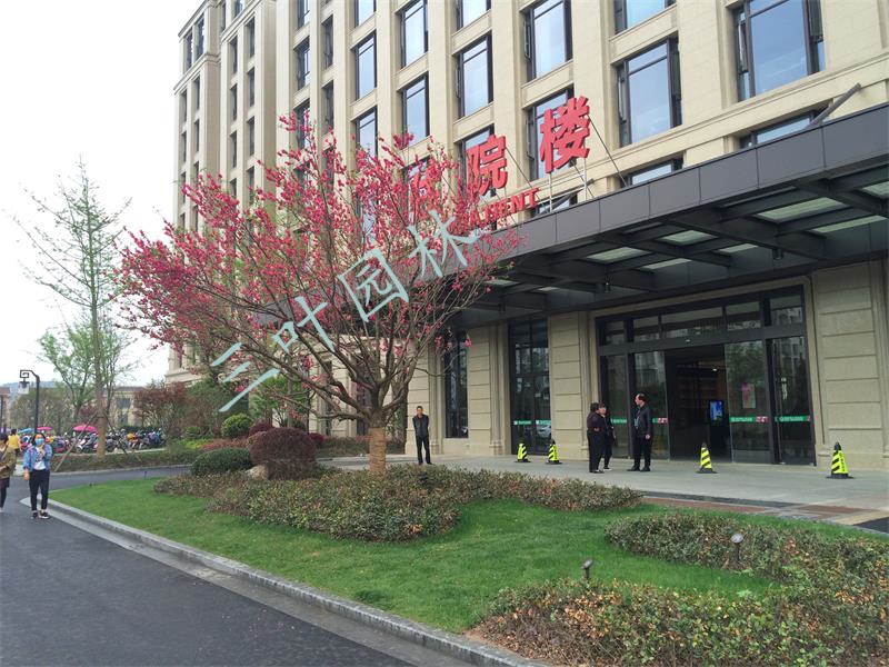 嵊州市新醫(yī)院（市人民醫(yī)院易地遷建）項(xiàng)目景觀(guān)綠化工程